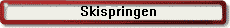 Skispringen